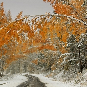 Зимняя осень автора walentenka