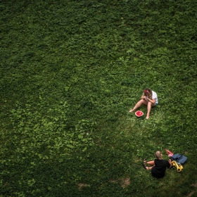 Пикник на траве автора Алексей