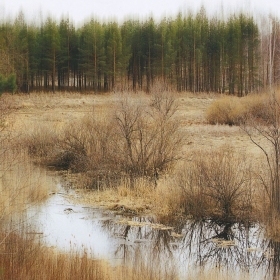 Алена Самойлова, «Без названия»