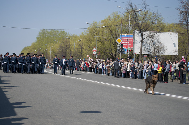 о жизни собачей