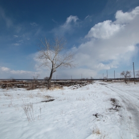 пустошь автора Komarov