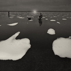 Тонкий лед и его обитатели автора fotososunov1955
