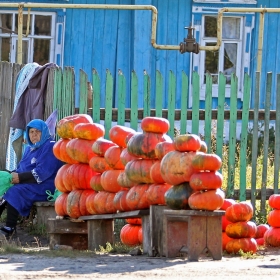 Охрана урожая.