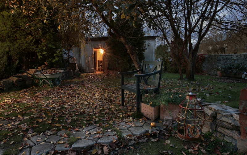 Сумерки 2011г