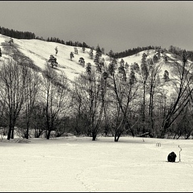 Рыбак автора fotososunov1955