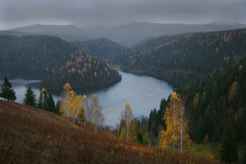 Поздняя осень