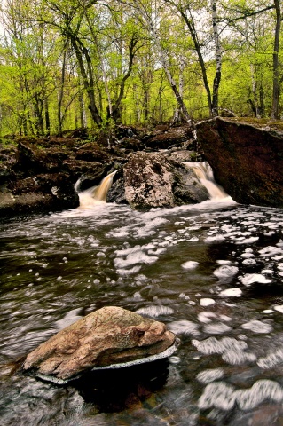 Гедельша автора giviryak