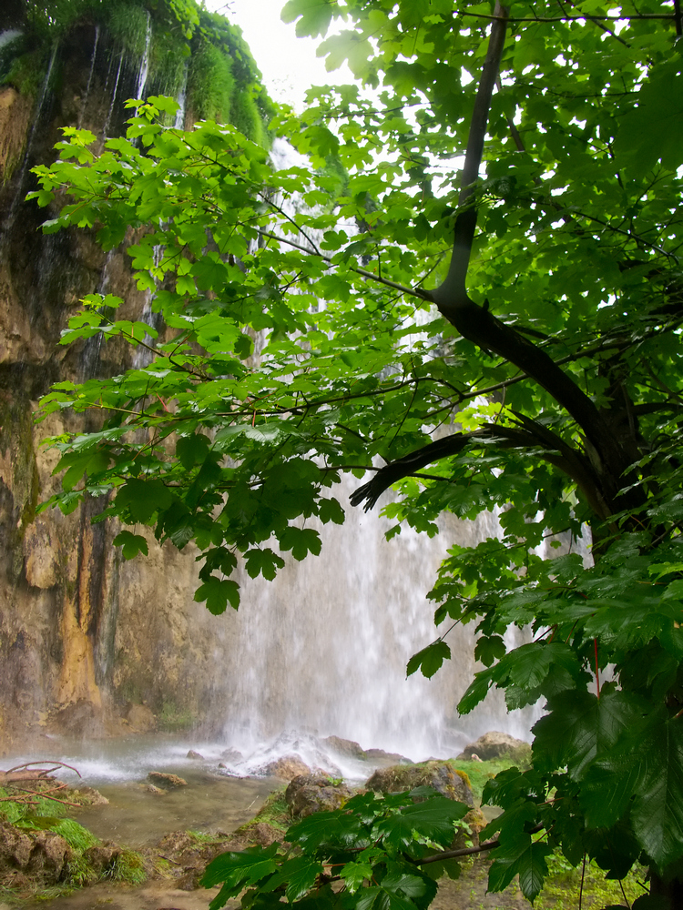 ПЛИТВИЦКИЕ ВОДОПАДЫ(ХОРВАТИЯ)