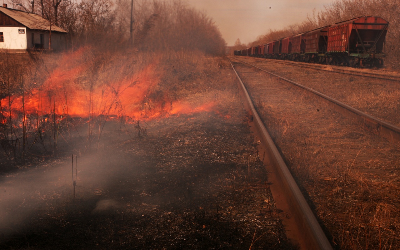 пути (серия)