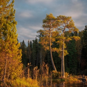 Осень в последних лучах заката автора giviryak