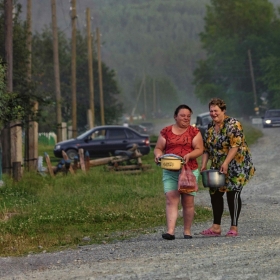 Тюлюкские несушки (Тюлюк - поселок на Южном Урале) автора fotososunov1955