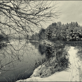 Снежный октябрь. автора fotososunov1955