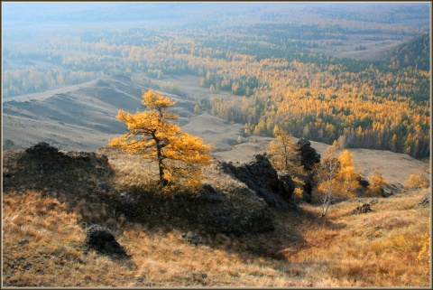 Осенний свет, к чему слова... автора Borisov