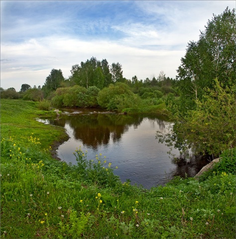 Тихая вода