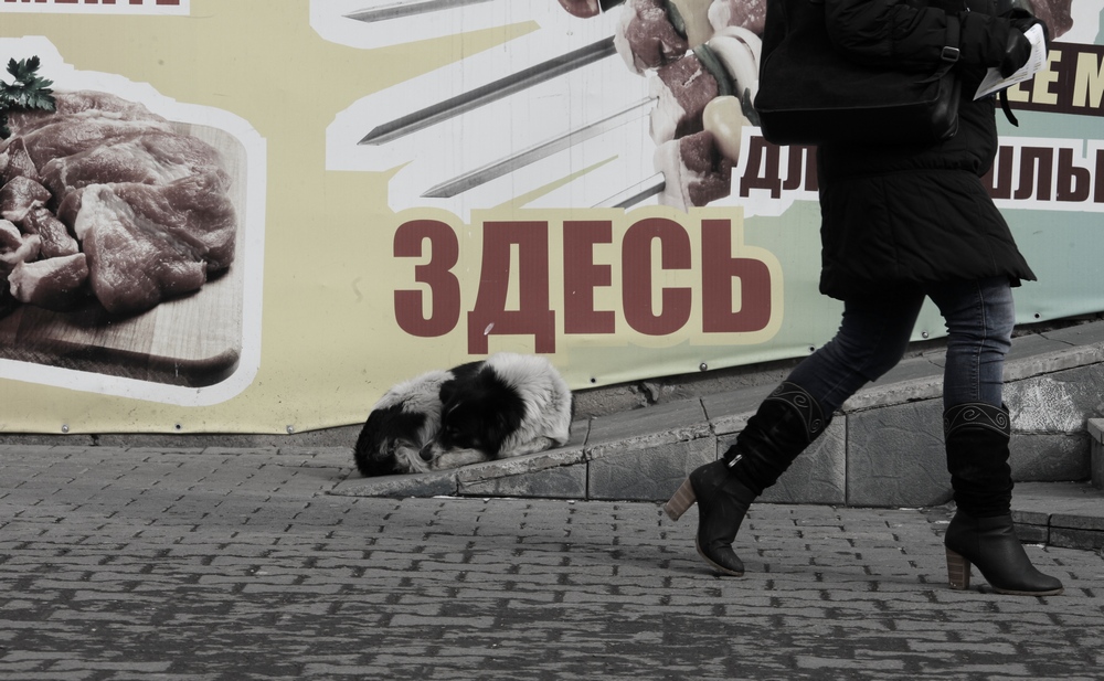Без Определенного Места Жительства....