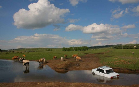 Знойный полдень