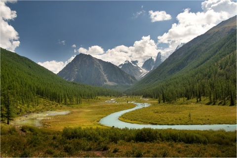 Река Шавла