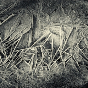 Ночные заморозки автора fotososunov1955