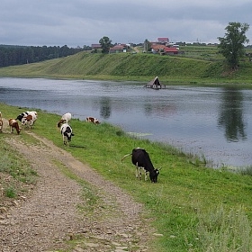 В уральской глубинке автора Kuvshinov