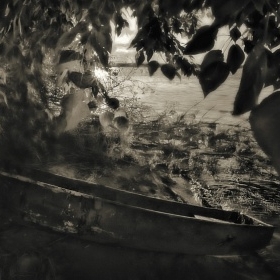 Лодка в тополях автора fotososunov1955