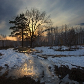 Весенняя дорога