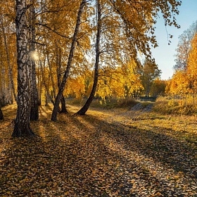 Ничего особенного,  осень автора fotososunov1955