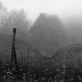 Проникновение автора fotososunov1955