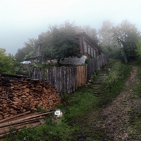 В ожидании Антонины Тэрнитэ автора fotososunov1955