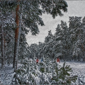 Зимние забавы автора fotososunov1955