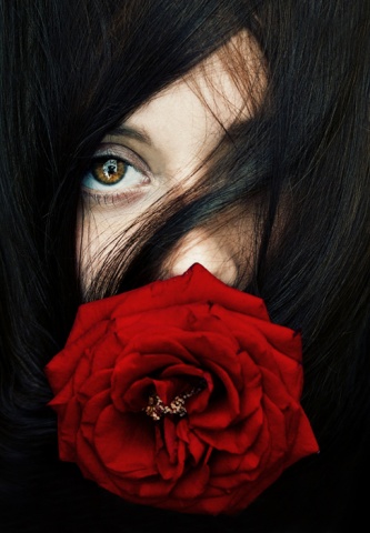 Красная роза - царица цветов автора Korolevskiy_Oleg