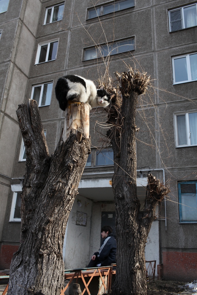 ВЕСЕННЕЕ