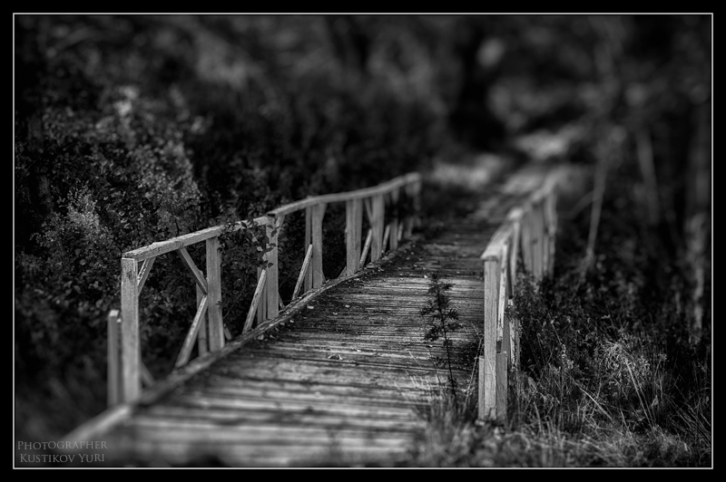 20120821-DSC01800-Edit-Edit