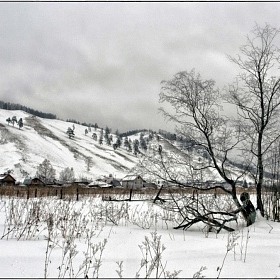 Зима автора fotososunov1955