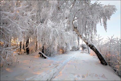 Один день зимы. автора moskvin