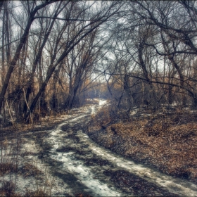 Теплый апрель автора fotososunov1955