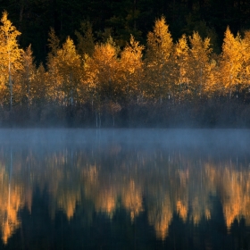 Смотрелась осень в зеркало автора Getsevphoto