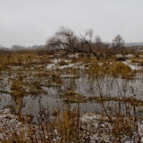 Весенние хляби