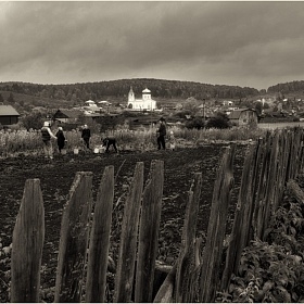 Урожай автора fotososunov1955