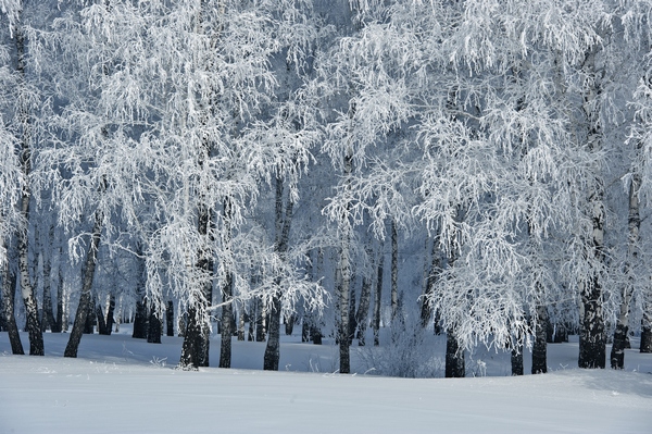 DSC_0739-2