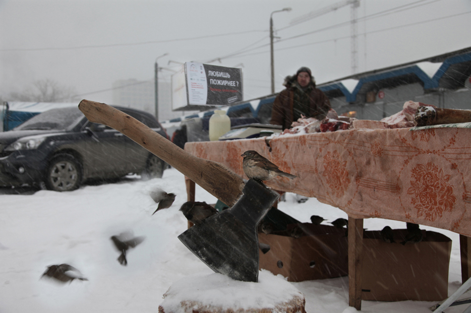 Дворец спорта. Готовимся к олимпиаде в Сочи. 2010 г.