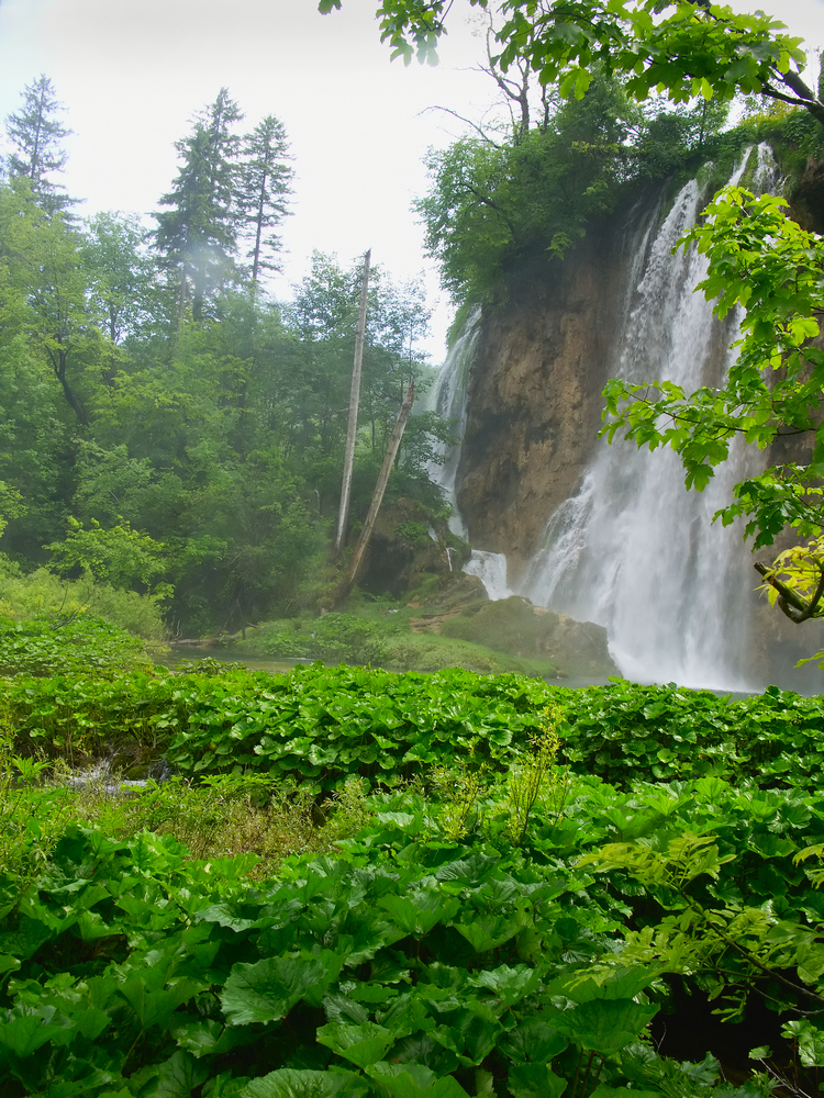 ПЛИТВИЦКИЕ ВОДОПАДЫ(ХОРВАТИЯ)