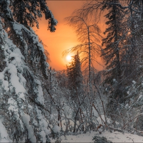 В погоне за Солнцем (серия)