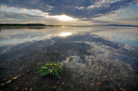 Зеленая кочка в синей воде