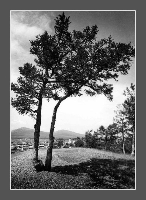 terentyev_be09eb63_200904061719th_pre