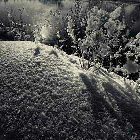 Снежно-солнечное (2) автора fotososunov1955