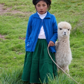 Девочка с альпакой автора muromtsev
