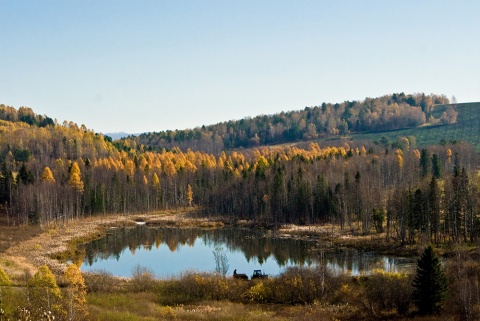 Осеннее сафари 2 автора giviryak