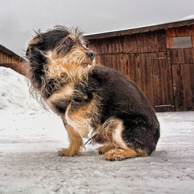 Воспитанник