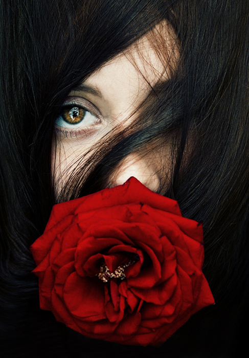 Красная роза - царица цветов
