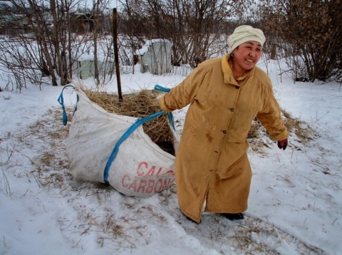 Последняя охапка